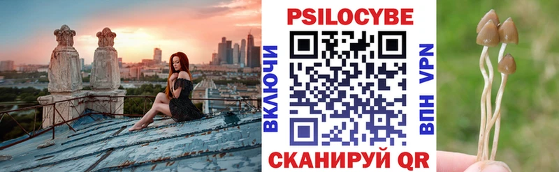 Псилоцибиновые грибы GOLDEN TEACHER  мориарти формула  Нестеровская 